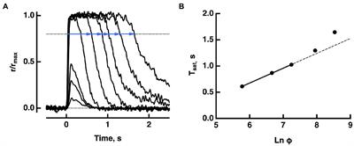 Pepperberg plot: Modeling flash response saturation in retinal rods of mouse